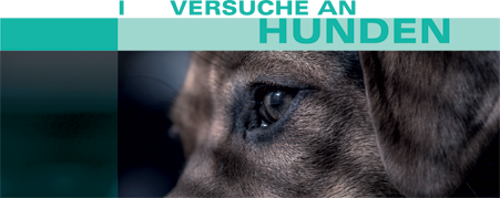 Versuche an Hunden bei LPT