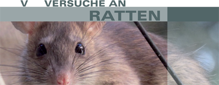 Versuche an Ratten bei LPT