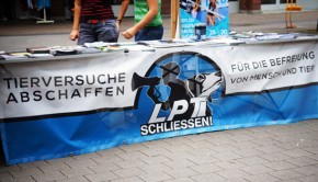 Infostand Neugraben