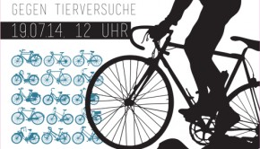 Fahrraddemo Flyer 19.7