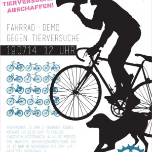 Fahrraddemo Flyer 19.7