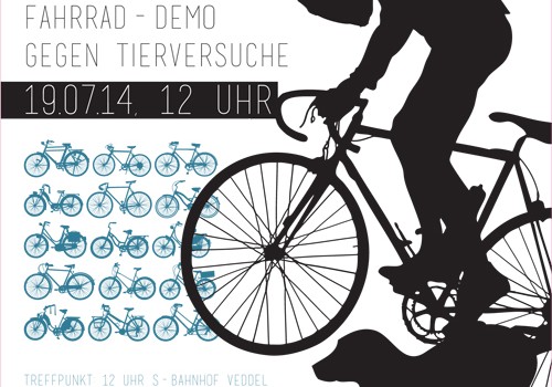 Fahrraddemo Flyer 19.7